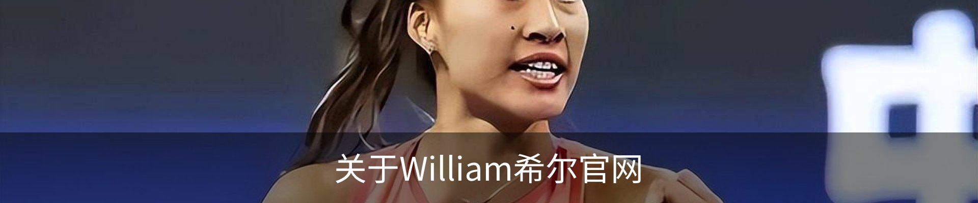 关于William希尔官网