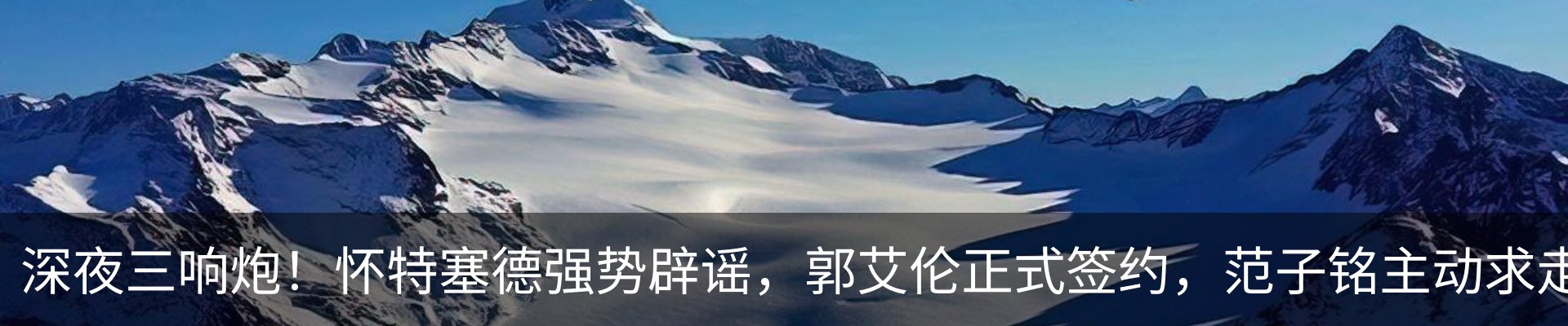 最新动态